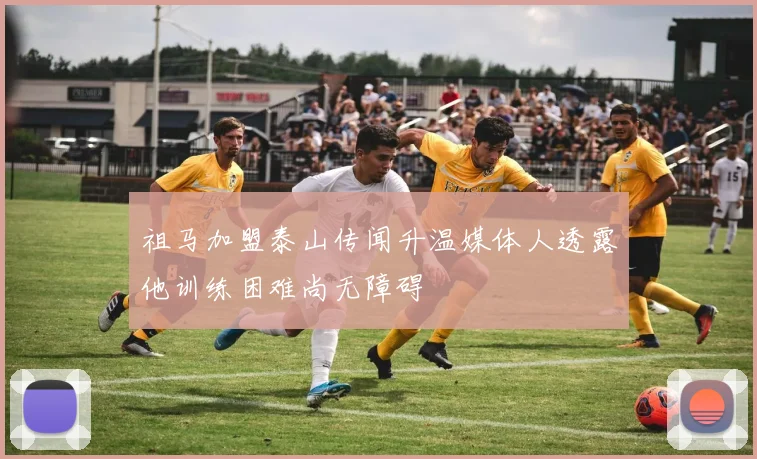 祖马加盟泰山传闻升温媒体人透露他训练困难尚无障碍