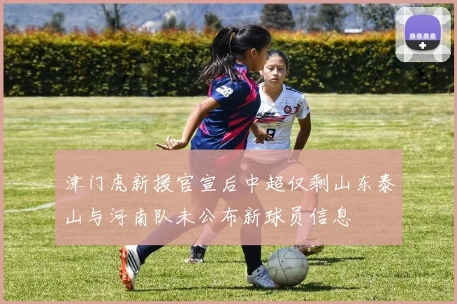 津门虎新援官宣后中超仅剩山东泰山与河南队未公布新球员信息
